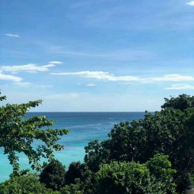 神雕online果盘客户端下载
